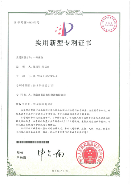 實用(yòng)新(xīn)型zhuanli證書