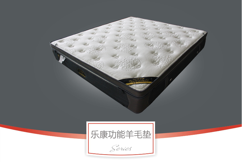 樂康功能(néng)羊毛墊